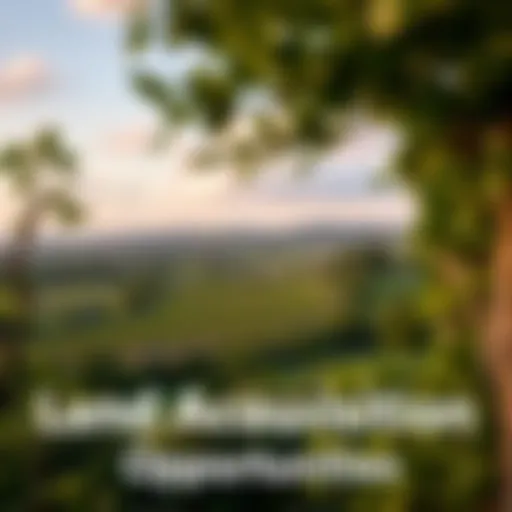 A picturesque plot of land ready for acquisition