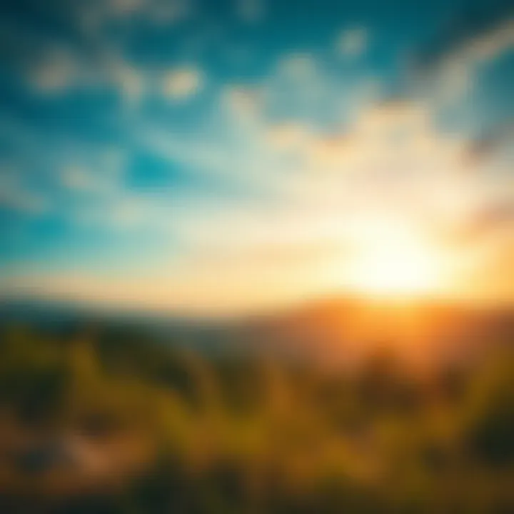 The Value of Patience in Investment Success A serene landscape symbolizing patience in investment strategies