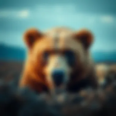Notable Understanding Oil and Gas Bear ETFs Notable Understanding Oil and Gas Bear ETFs