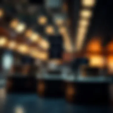 Structure of Prime Brokerage Accounts Visual representation of prime brokerage account structure