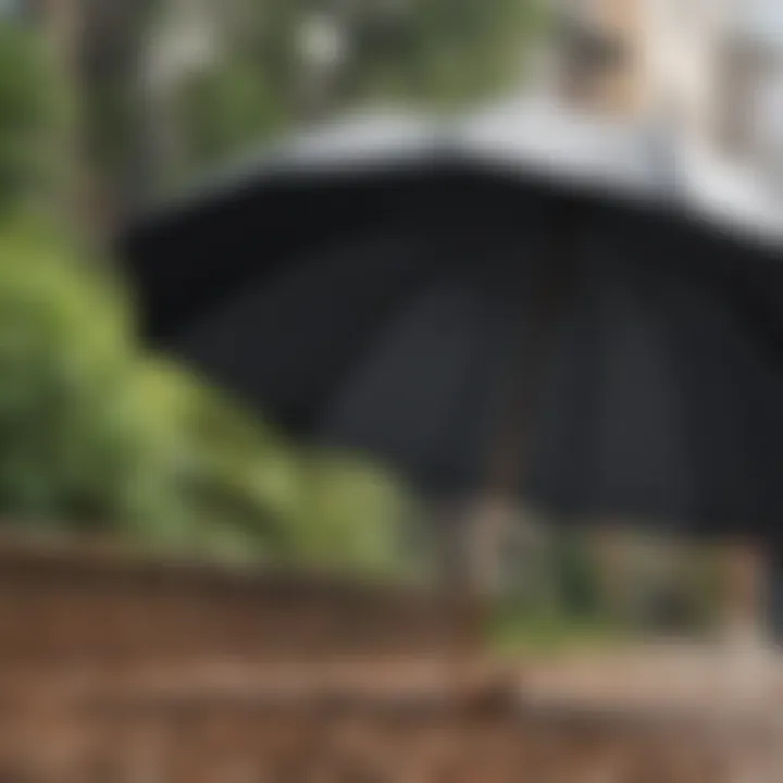 Common misconceptions about umbrella policies