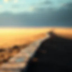 Two distinct paths representing different life insurance types