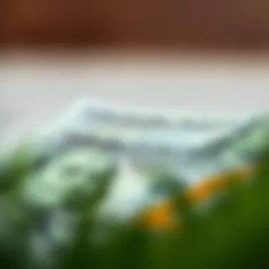 Understanding the Principal Balance on a Loan Summary Understanding the Principal Balance on a Loan Summary